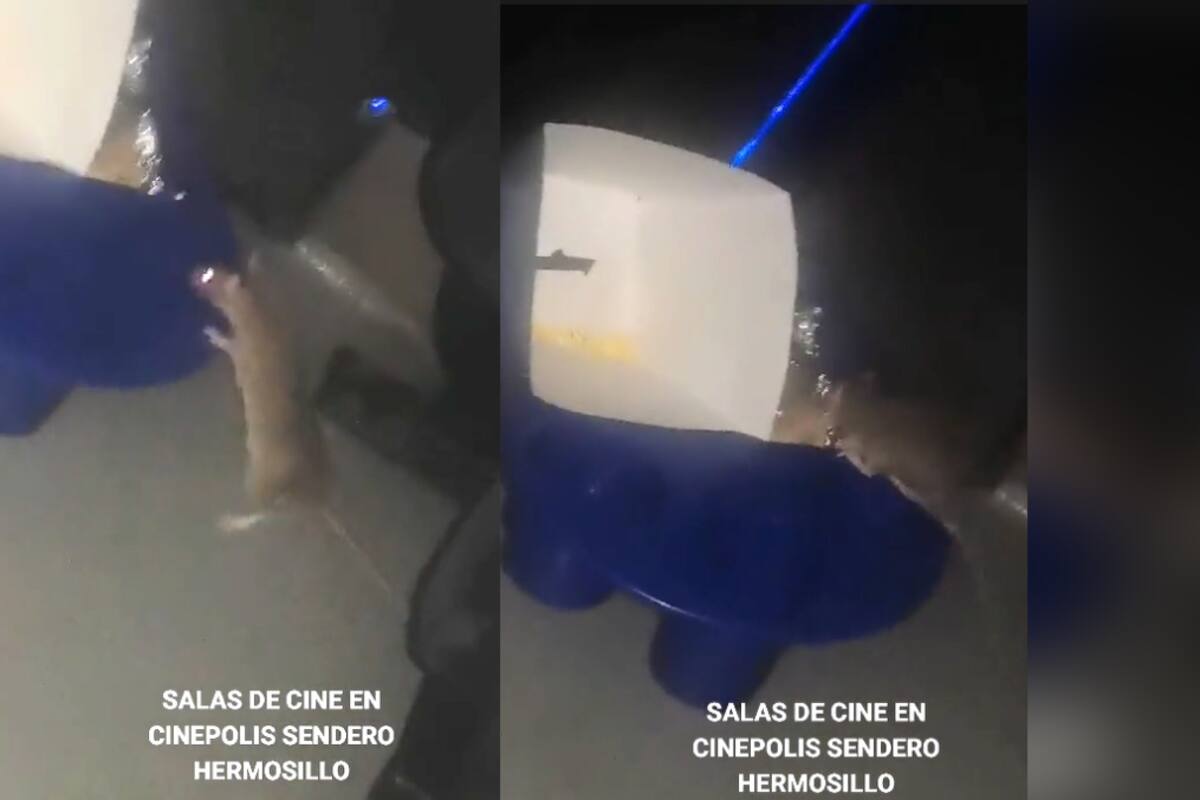 VIRAL: rata sorprende a espectadores en una sala de Cinépolis en Hermosillo