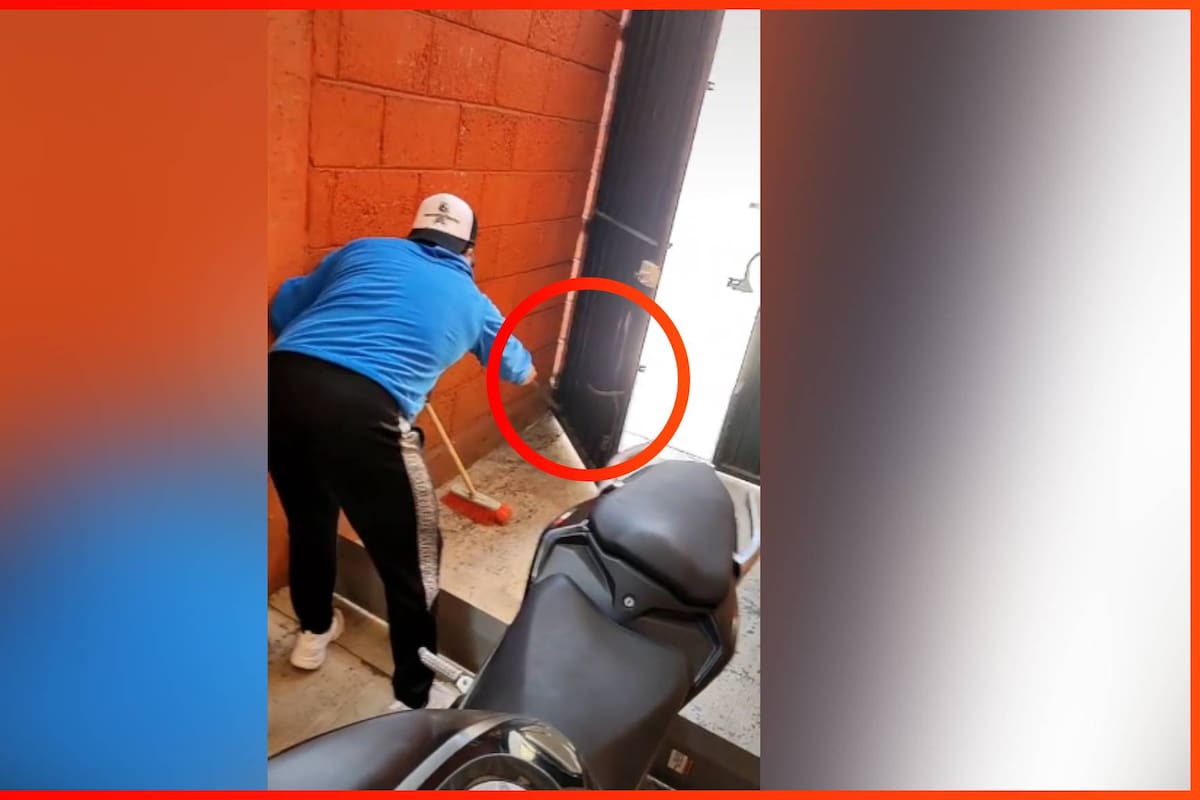 VIDEO: Pelea entre dos hombres y una rata se vuelve viral