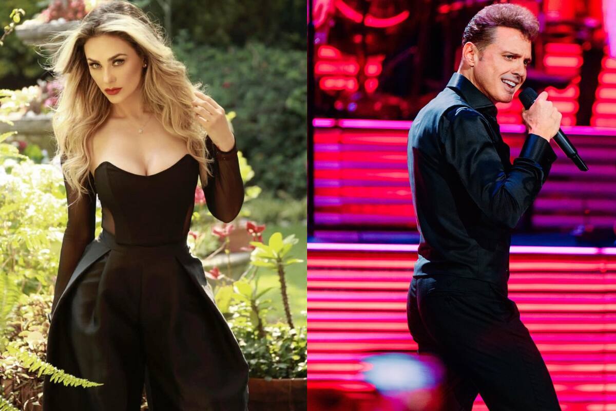 Abogada de Luis Miguel confirma que Aracely Arámbula le prohíbe ver a sus hijos