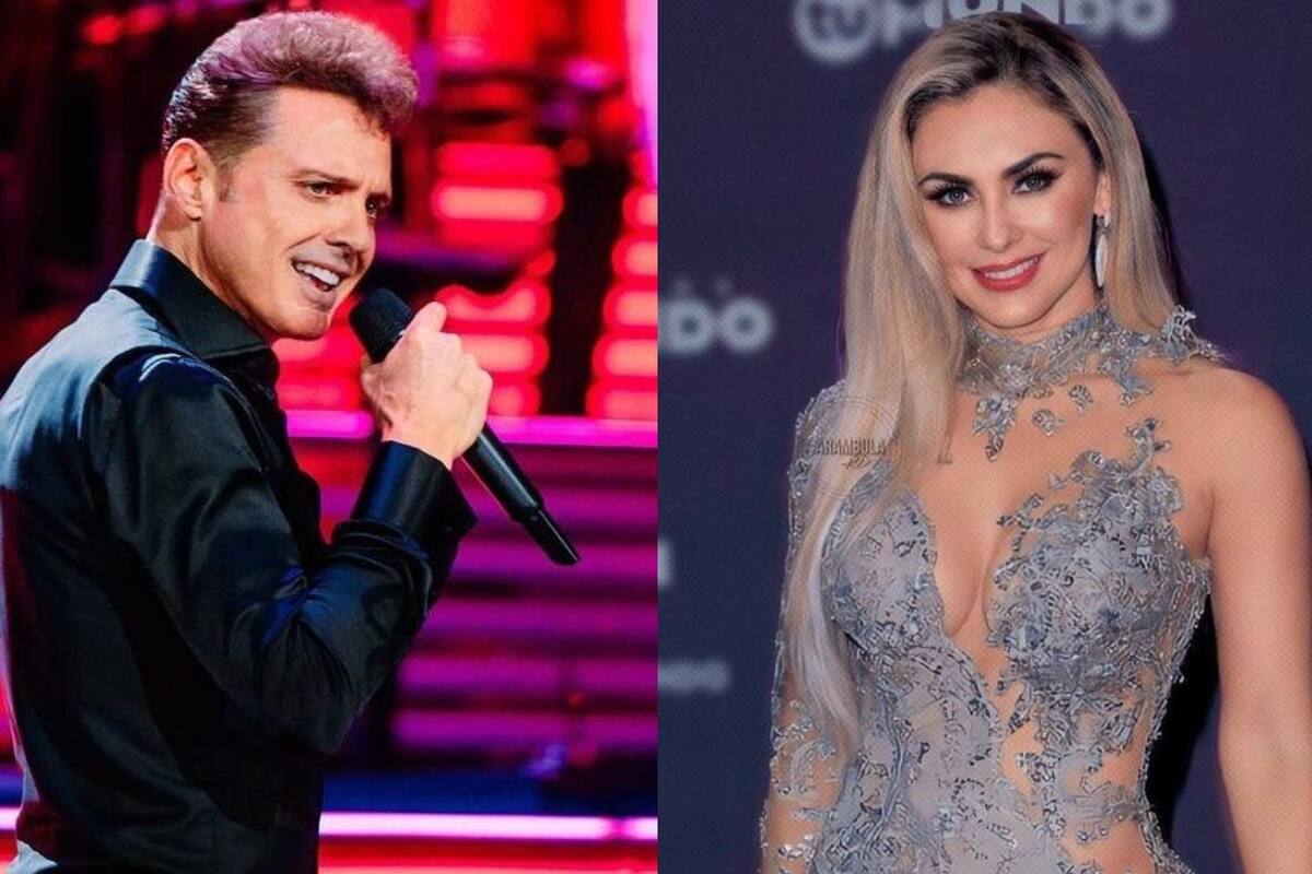 Aracely Arámbula demanda a Luis Miguel por pensión alimenticia, según su abogado