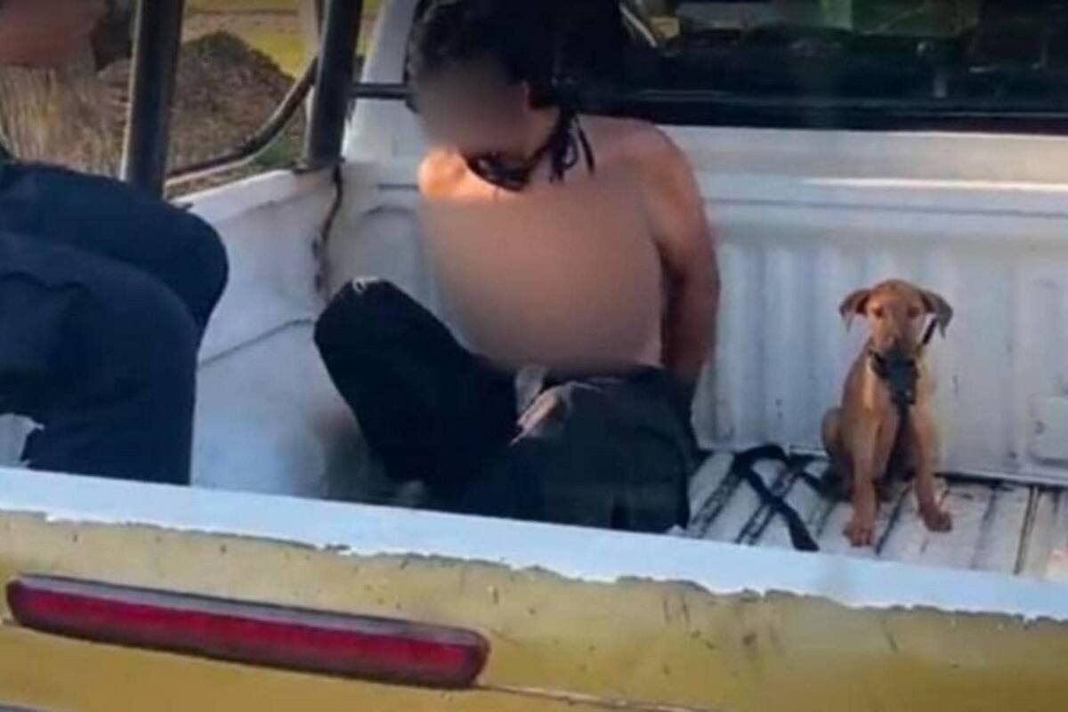 Perrito es detenido junto a su dueño y se los lleva la patrulla