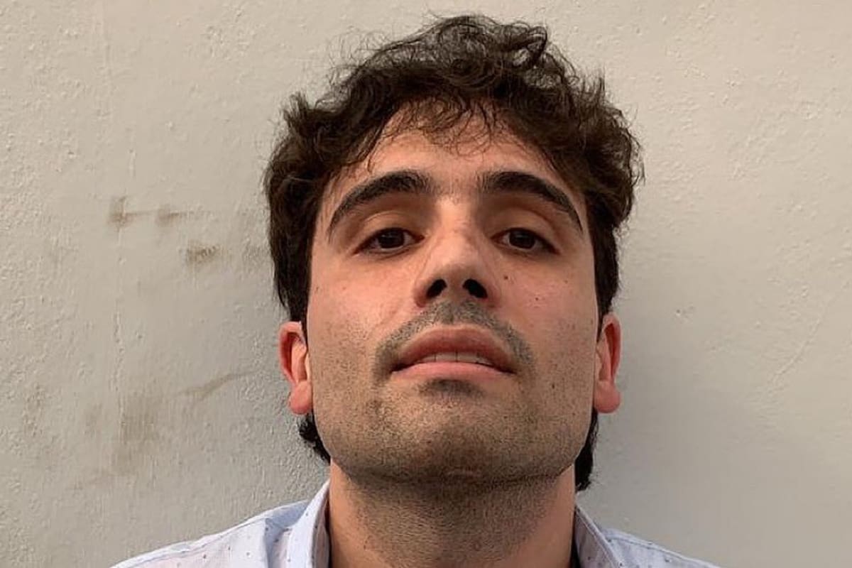 “Soy el ratón, soy Ovidio, soy Guzmán, hijo de 'El Chapo'": Corrido se hace viral en redes sociales