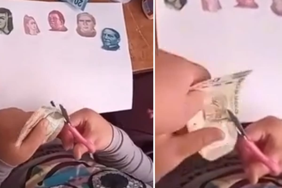 VIDEO VIRAL: ¡Merece puntos extras! Niña recorta billetes para ilustrar una tarea