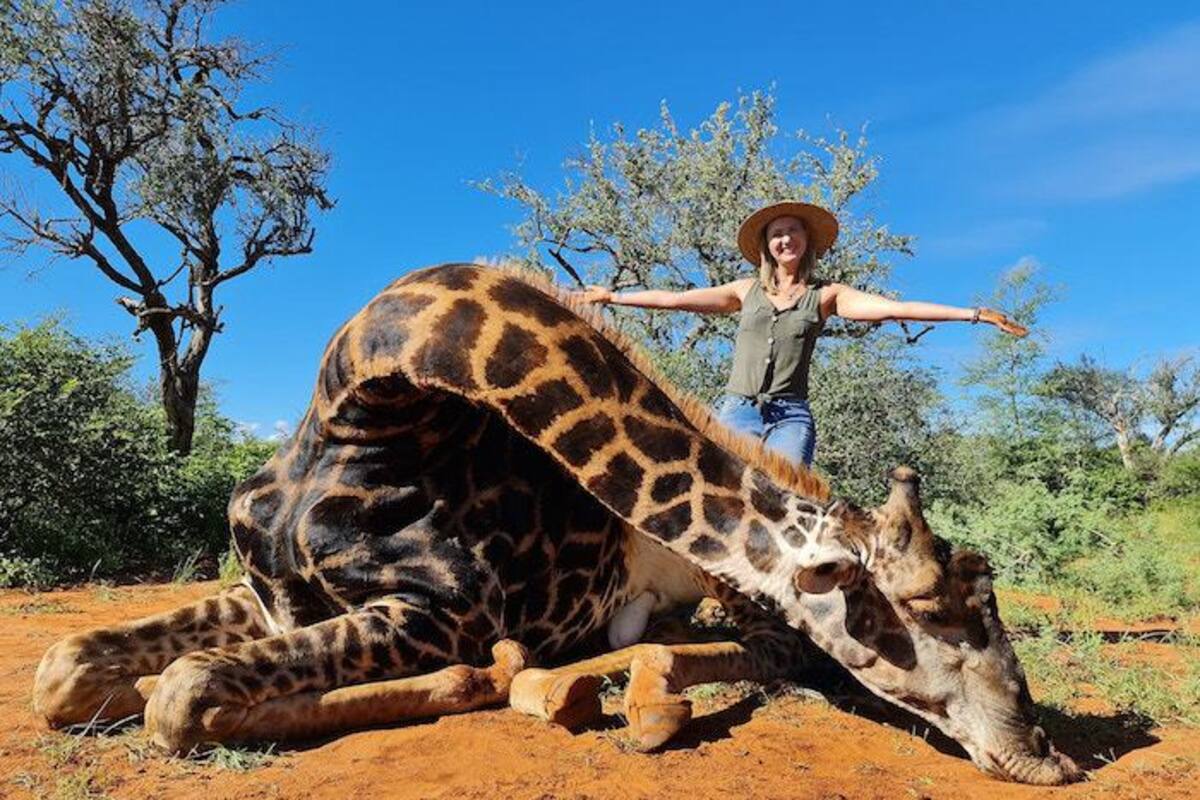 IMÁGENES FUERTES: Cazadora presume que el corazón de un jirafa es su regalo de San Valentín