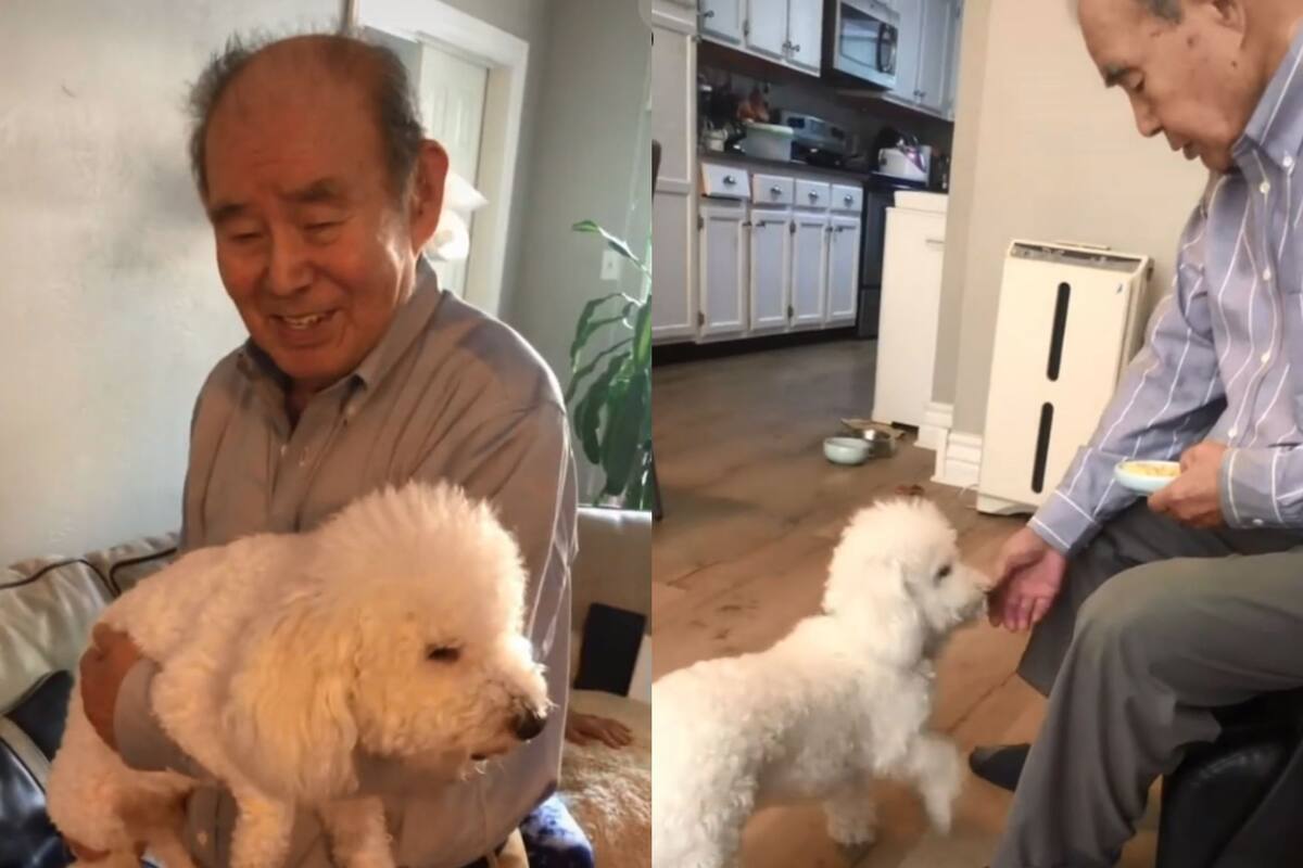 Abuelo y perrito se viralizan tras tener tierna amistad