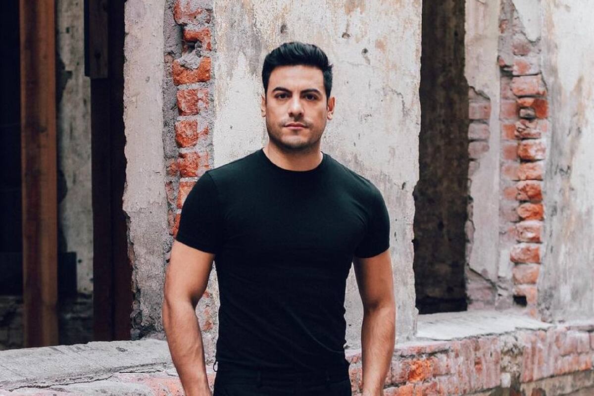 Carlos Rivera se quita la camisa y enseña sus cuadritos frente al espejo