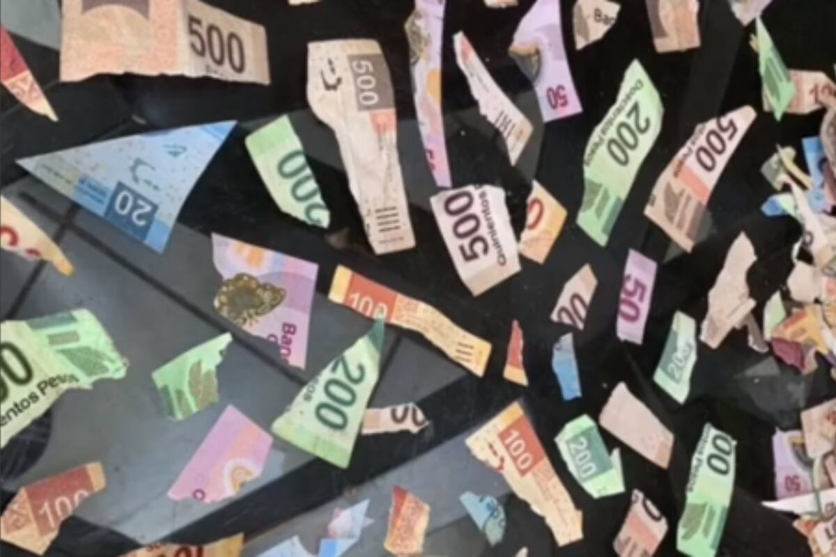 TikTok: Niña encuentra ahorros de su primo y los confunde con papeles de colores y los recorta