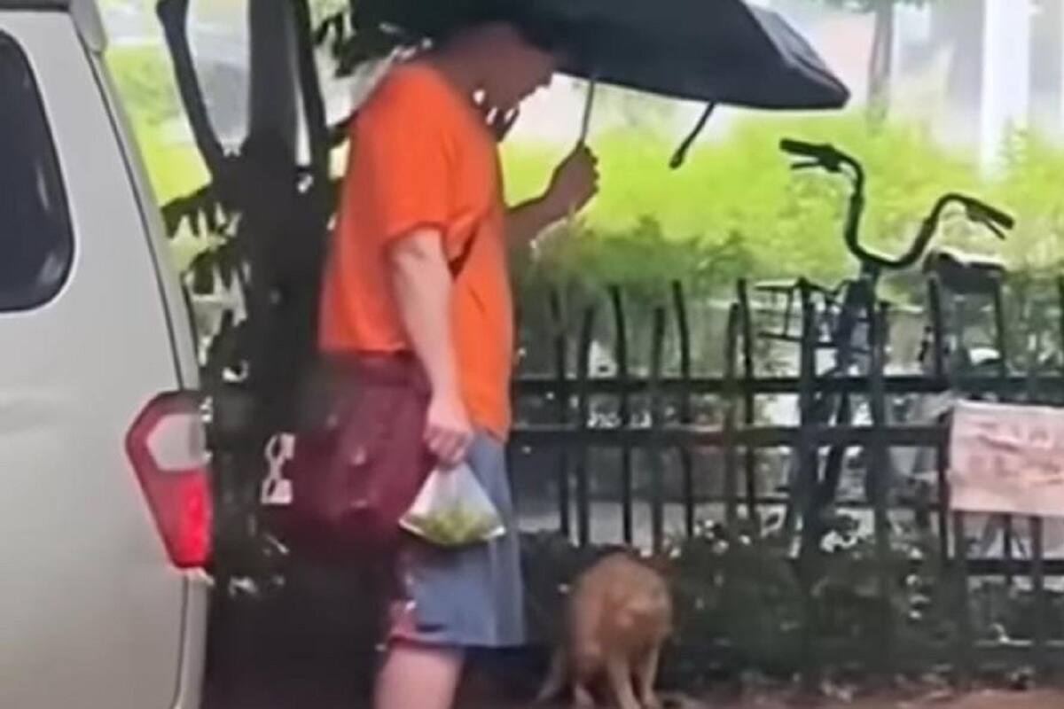 VIDEO VIRAL: Hombre le regala su paraguas a un gatito en plena tormenta