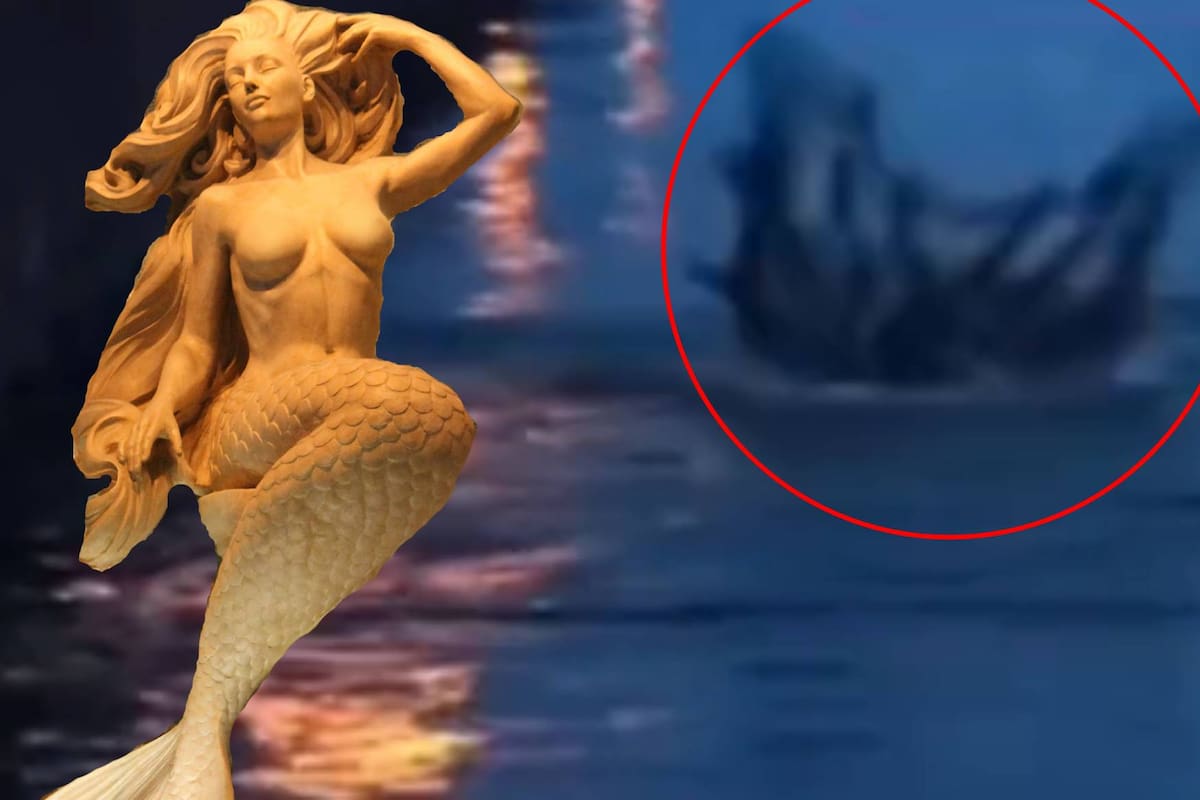 VIDEO: Marinero consigue grabar lo que parece ser una sirena