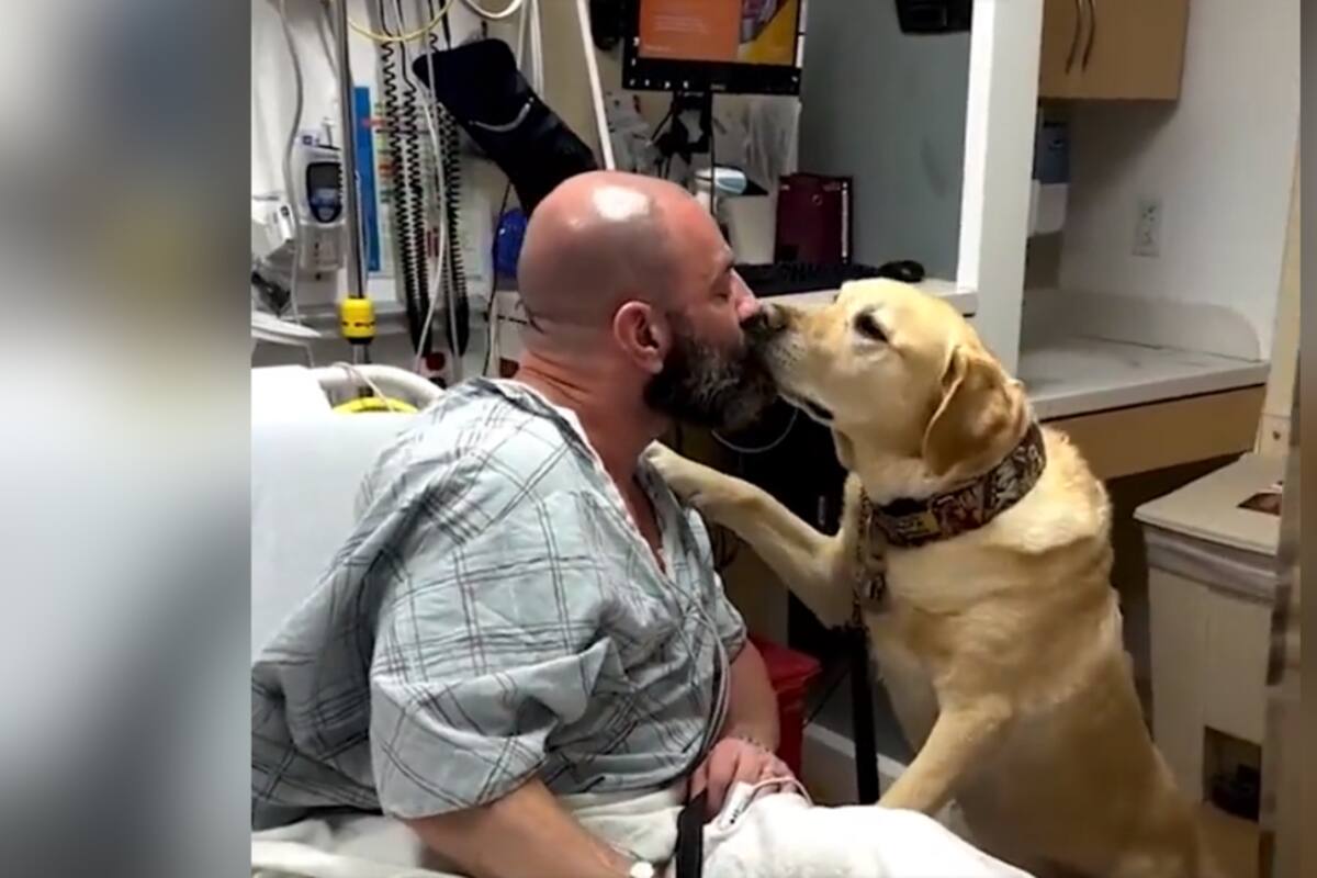 VIRAL: este perro estuvo al lado de su dueño todo el tiempo en el hospital