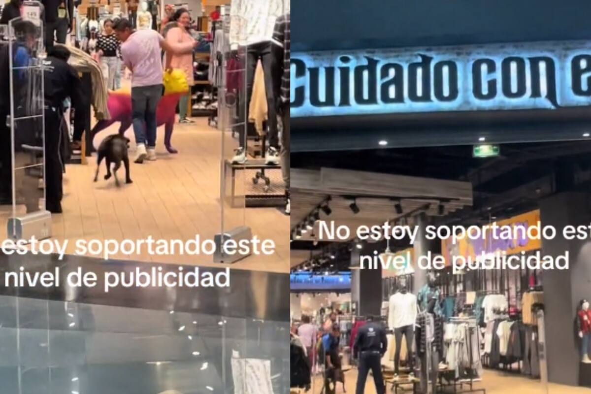 Perro protagoniza caótica escena en tienda "Cuidado Con El Perro," ¿estrategia de marketing o casualidad?