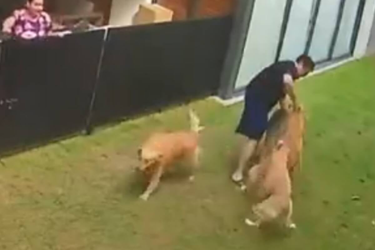 Franco Escamilla experimenta tenso momento familiar debido al descontrol de sus mascotas