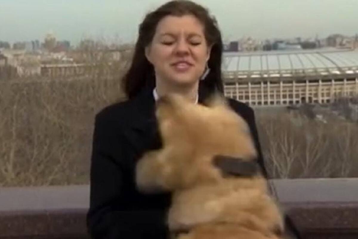 Perrito le roba el micrófono a reportera en plena transmisión en vivo