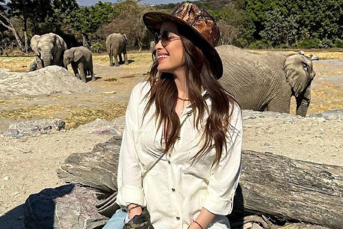 Cynthia Rodríguez habla sobre cuántas semanas de embarazo tiene