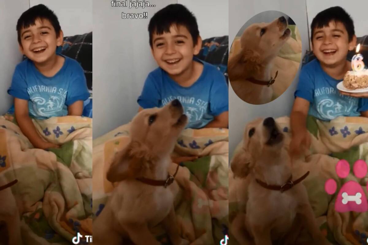 ¡Increíble! Perrito sorprende al cantar "Las mañanitas" a su dueño