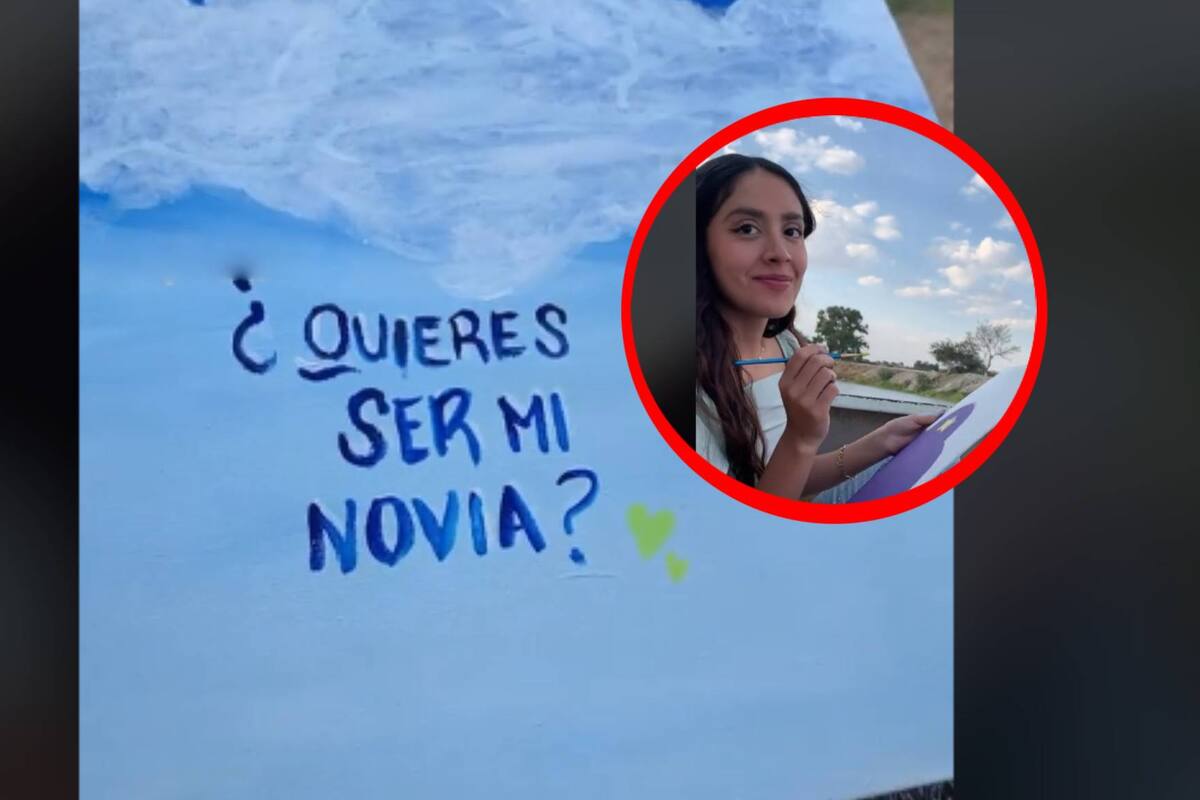 TIKTOK: Joven le pide a la chica que le gusta que sea su novia con una pintura