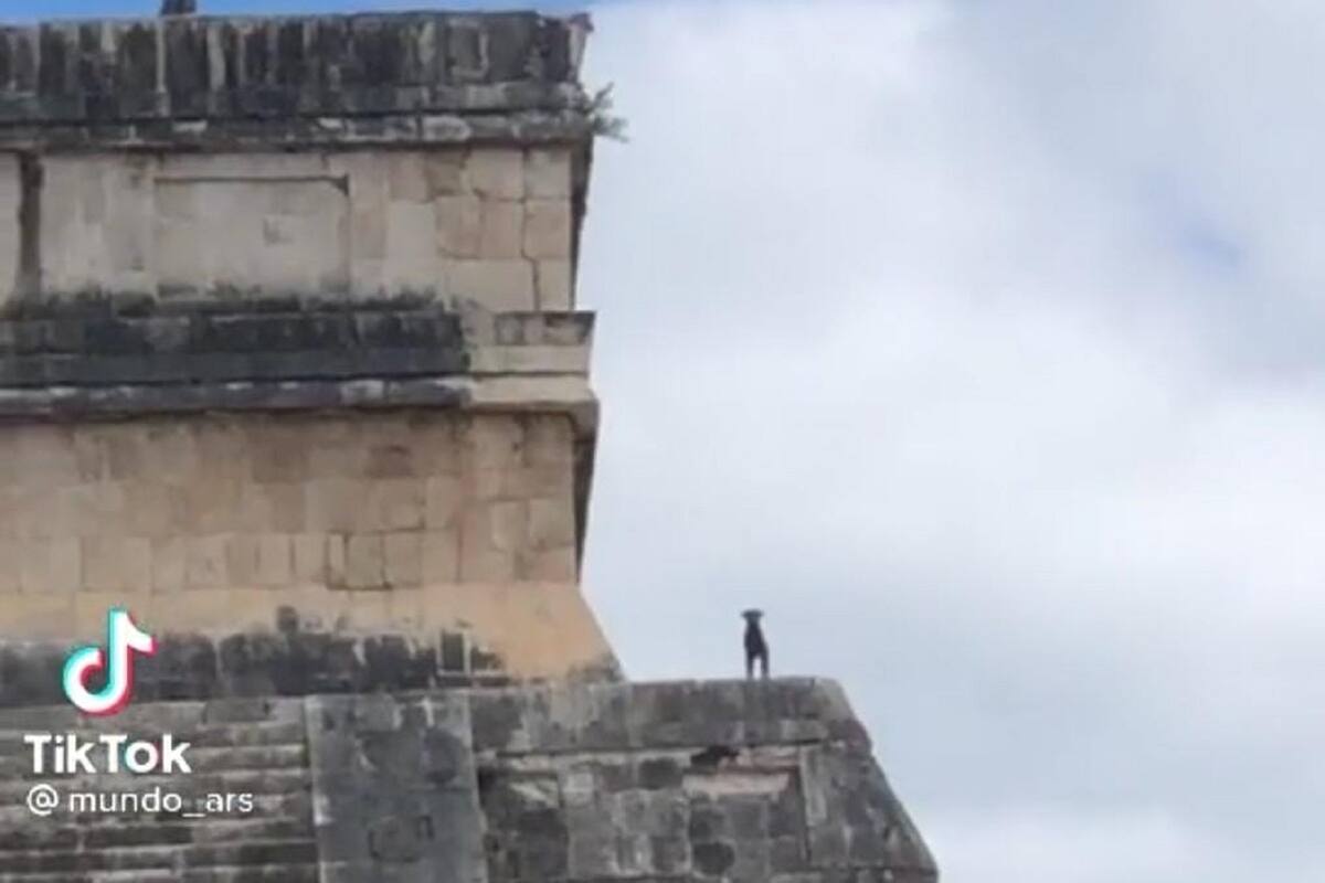 VIDEO VIRAL: Perrito logra subir hasta la cima de Chichen Itzá
