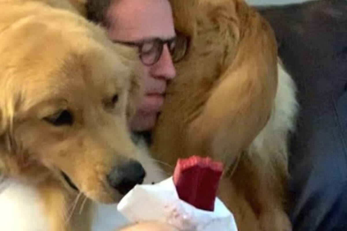 VIDEO VIRAL: Perrito hace todo lo posible por robarle la paleta a su dueño