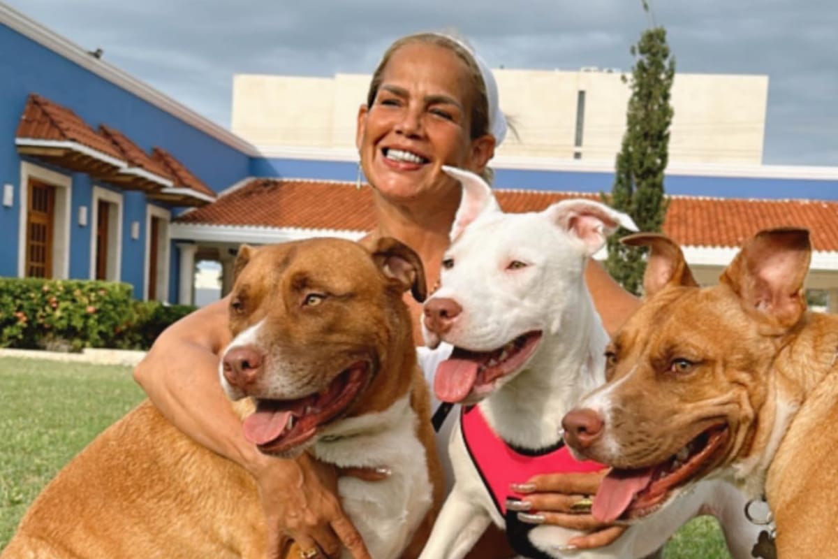 Niurka Marcos se burla de quienes aseguran que adopta perritos para sacrificarlos en rituales de santería