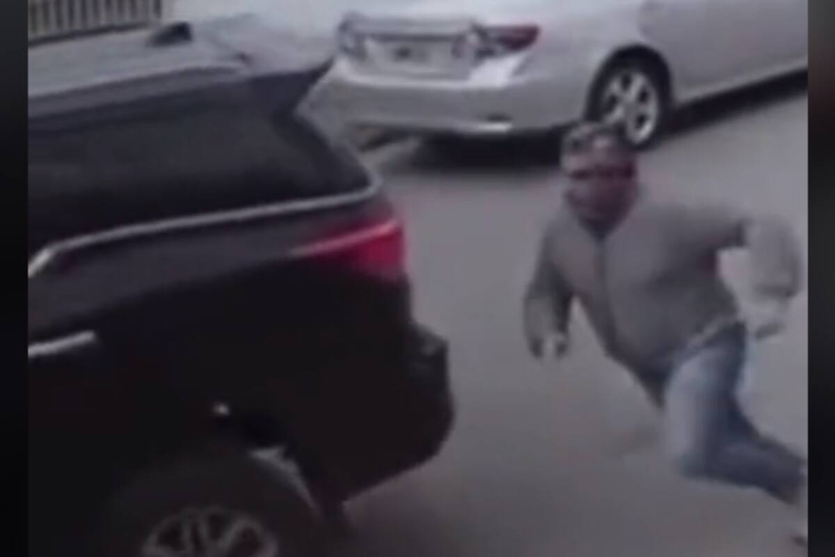 TikTok: Perrito estrella camioneta contra una casa tras tomar el control del vehículo