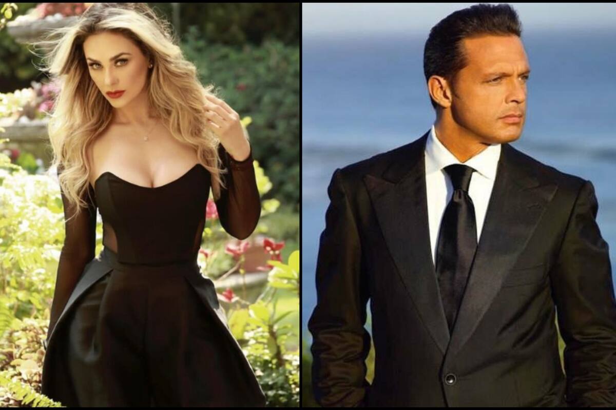 Aracely Arámbula podría verse beneficiada con ganancias recaudadas de la gira de Luis Miguel