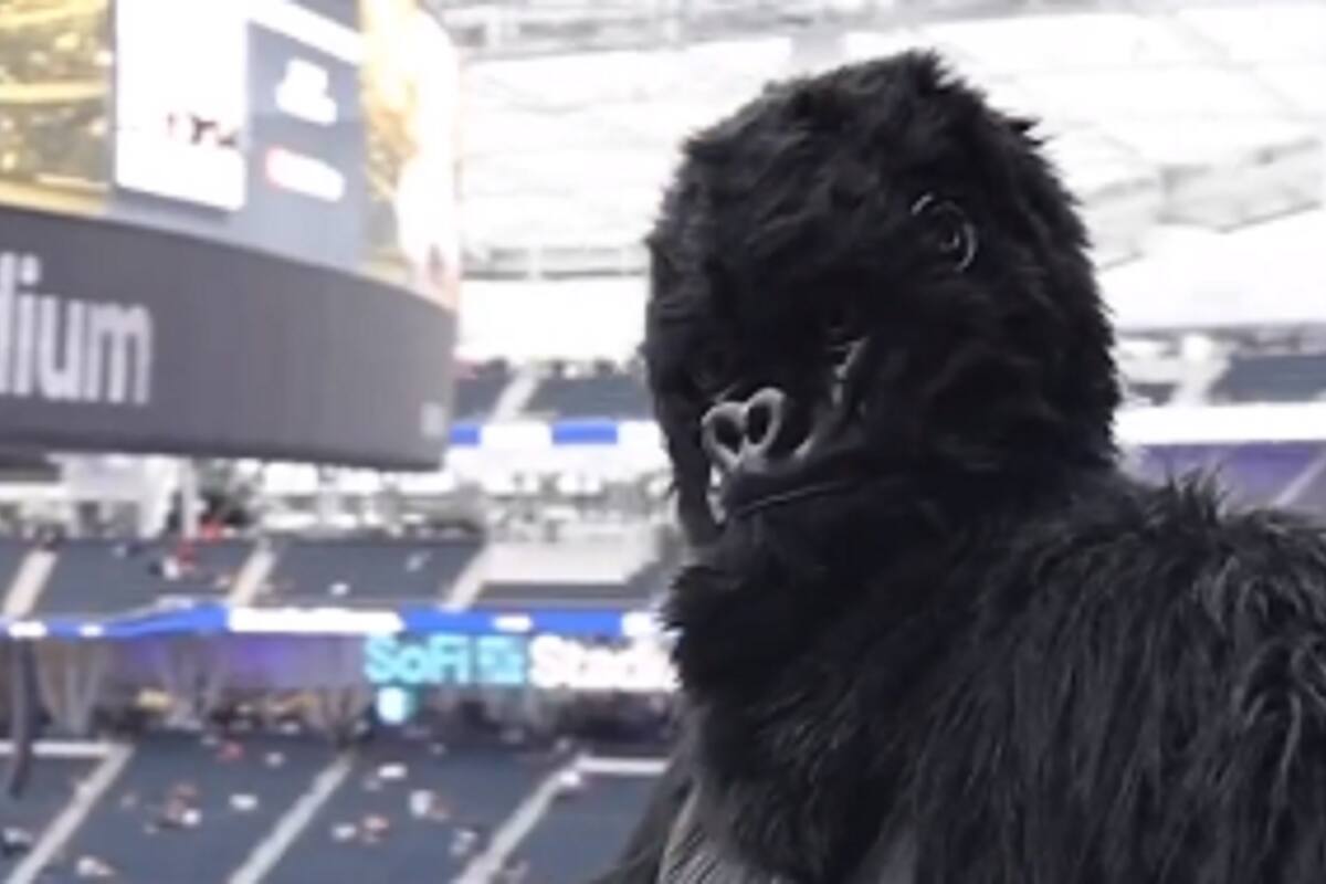 Eduin Caz sorprende a sus fans con una botarga 'bien changona'