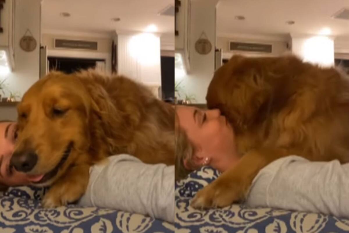 Perrito no deja que su dueña se levante y se queda acostado con ella
