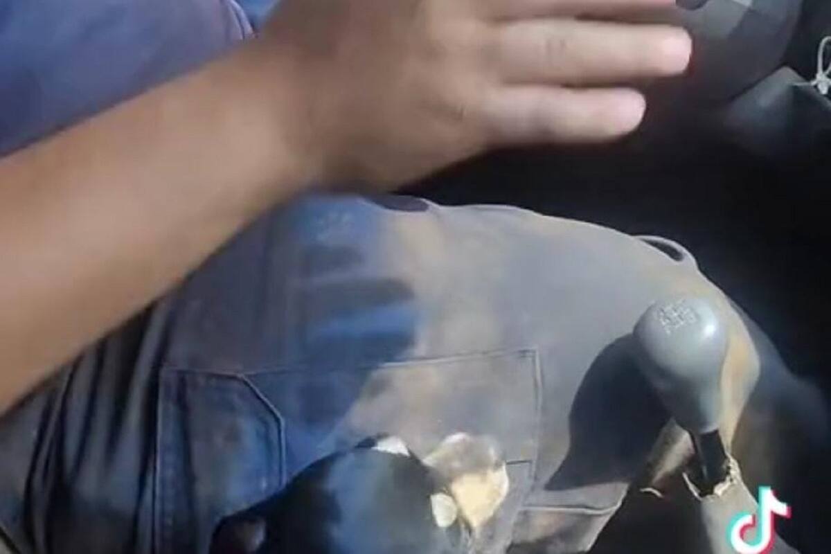 VIDEO VIRAL: Joven agarra a su perrito como palanca de velocidades