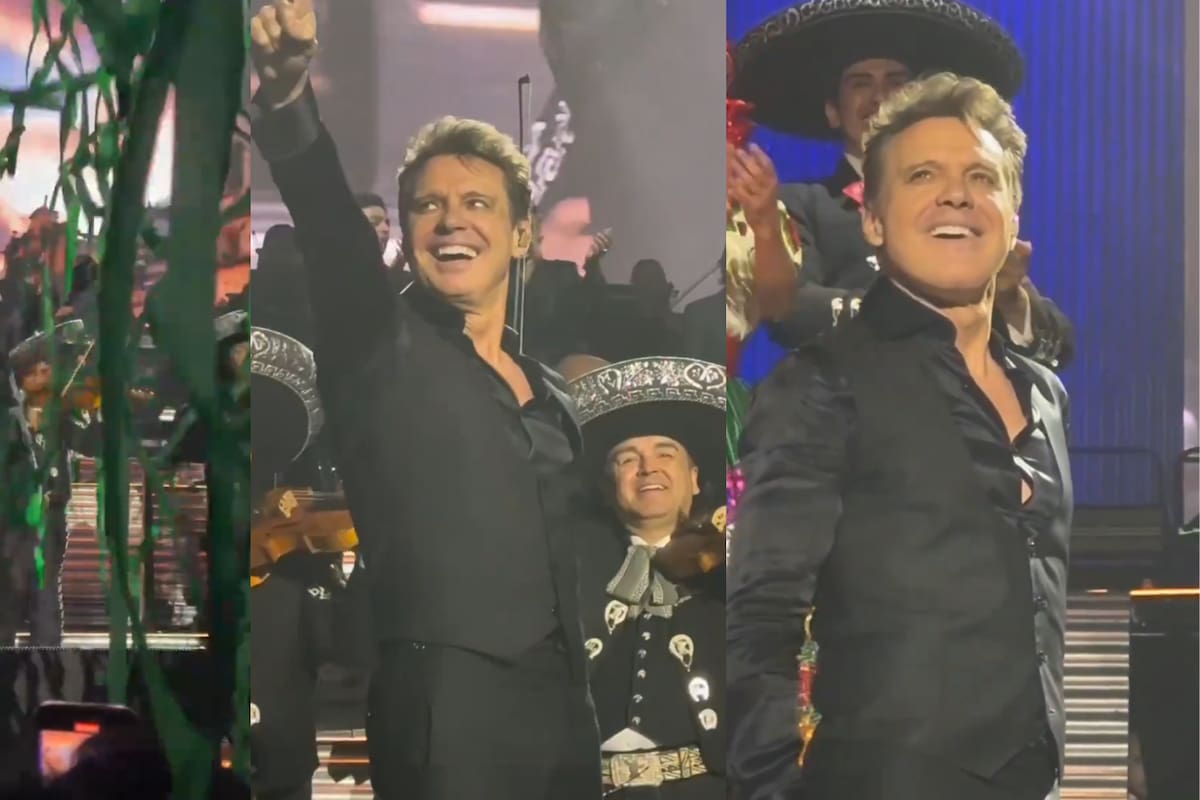 Así celebró Luis Miguel su cumpleaños 54 en pleno concierto