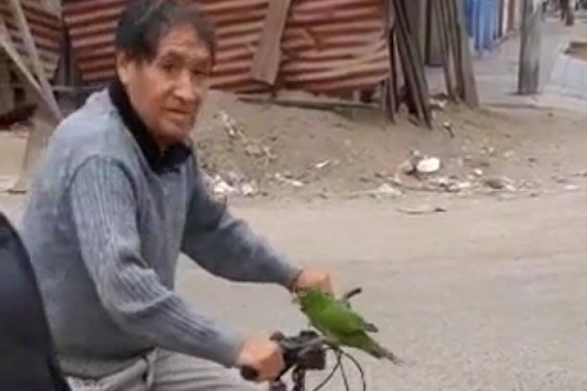 Señor se vuelve viral en TikTok al usar su perico como claxon en su bicicleta