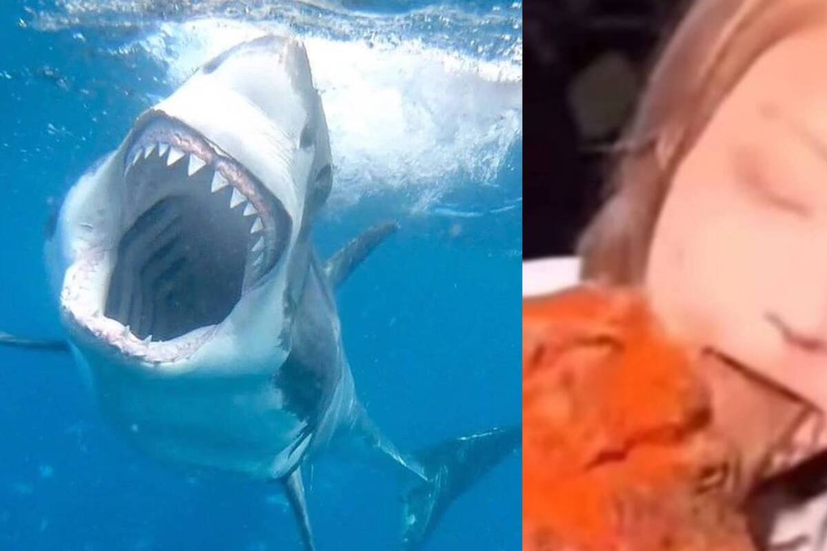 Influencer china es acusada de comer un tiburón blanco, especie en peligro de extinción