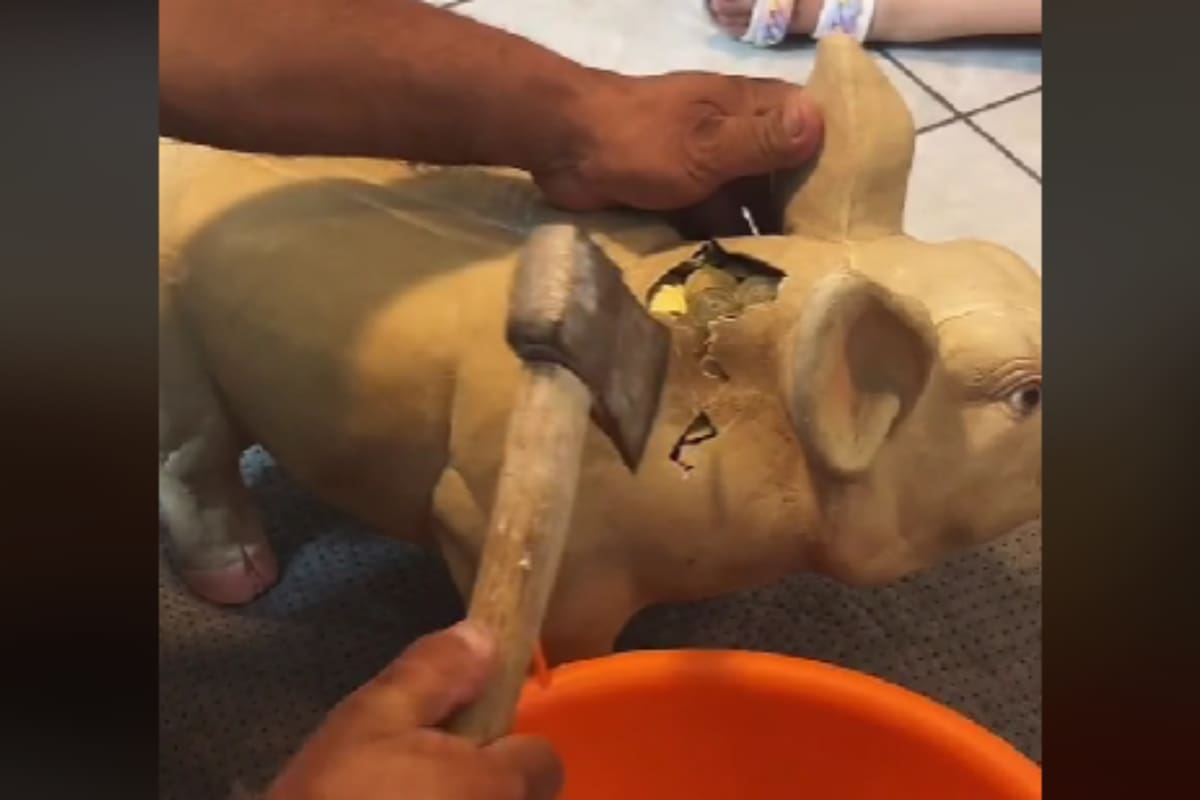 TikTok: Hombre rompe su alcancía y tras 2 años de ahorrar junta una enorme cantidad de dinero