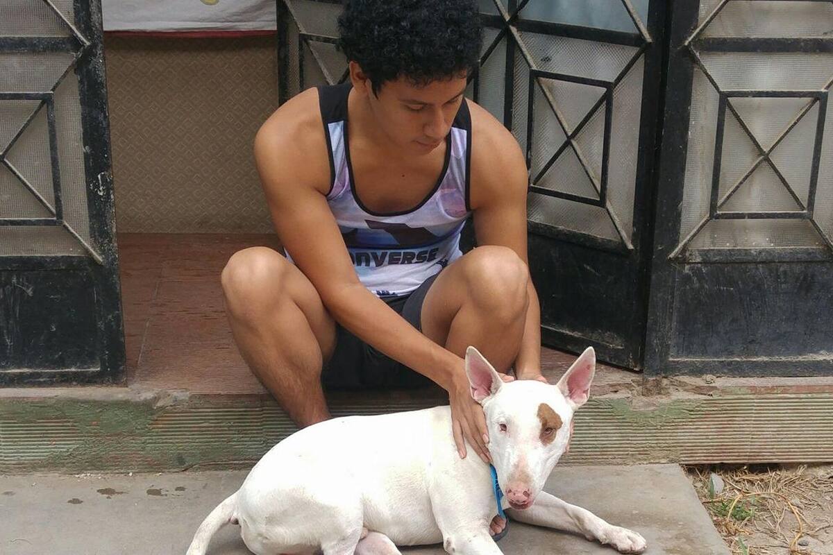 Joven escribe tesis sobre la muerte de su perrito