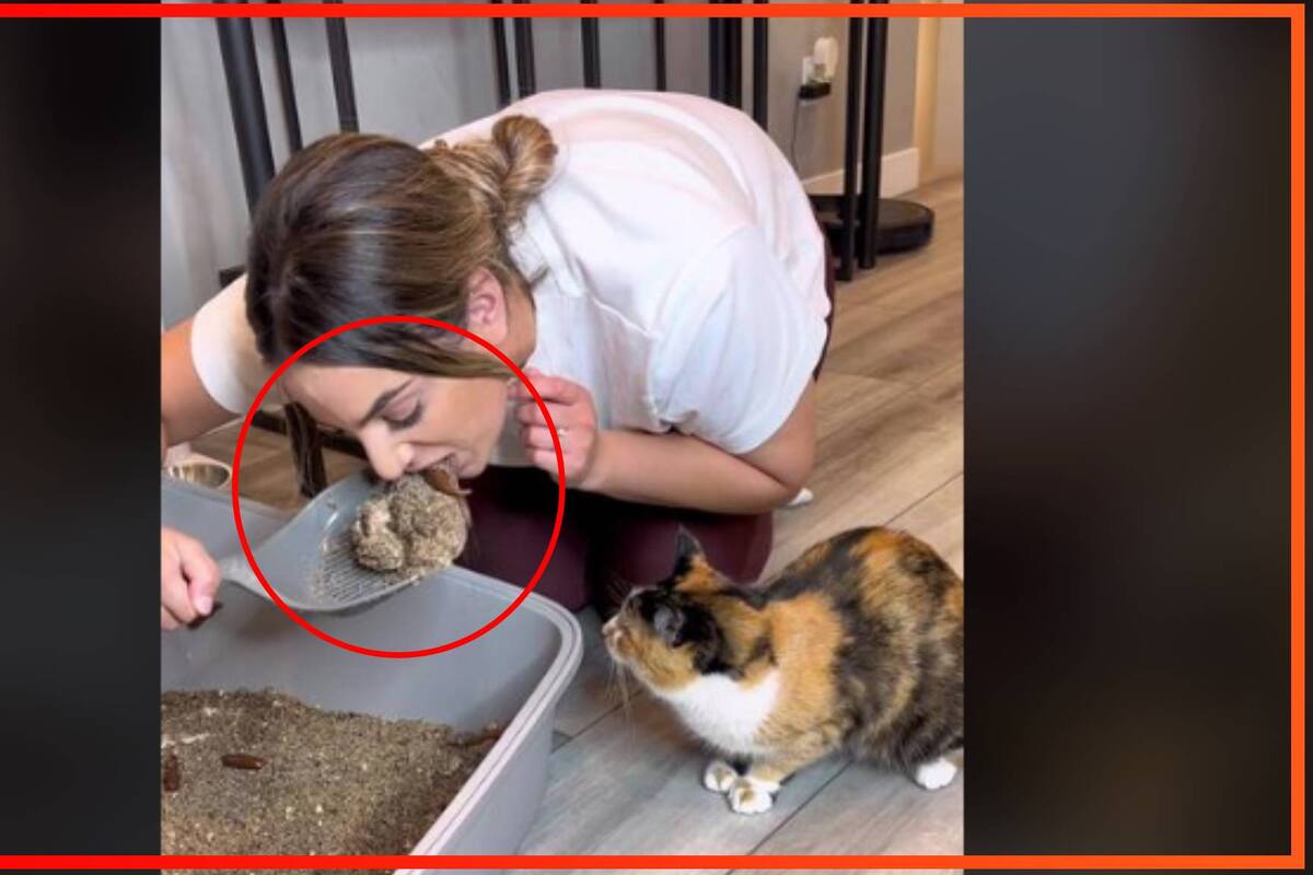 VIRAL: Mujer come del arenero sucio de su gato