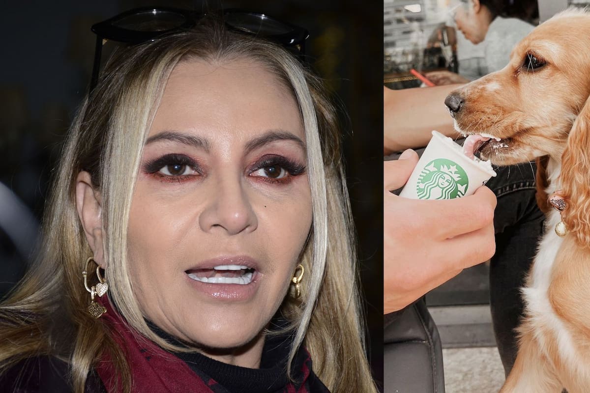 Daniela Castro asegura que su papá reencarnó en su mascota