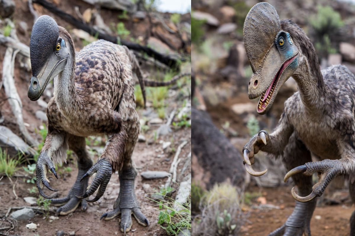 Nuevo descubrimiento: un dinosaurio carnívoro del Cretácico Tardío en Coahuila
