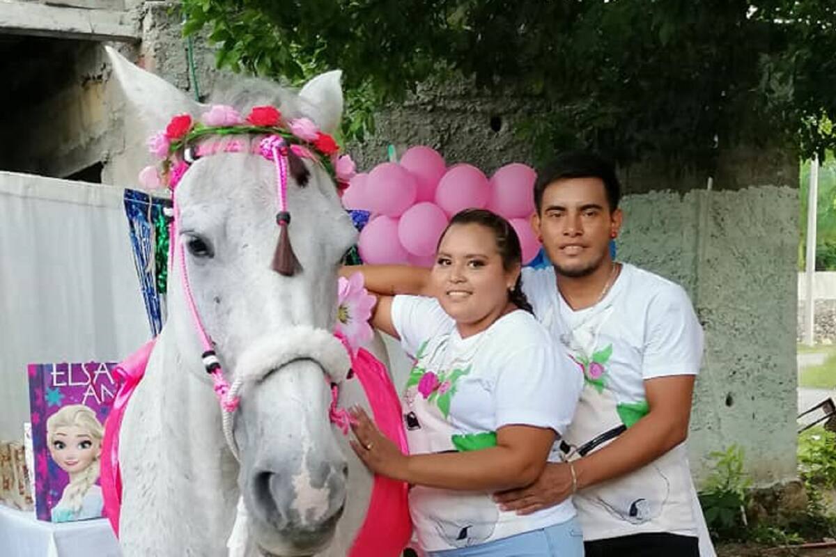 Con pastel y globos, pareja le hace baby shower a su yegua: "No eres humano pero te amo como si lo fueras"
