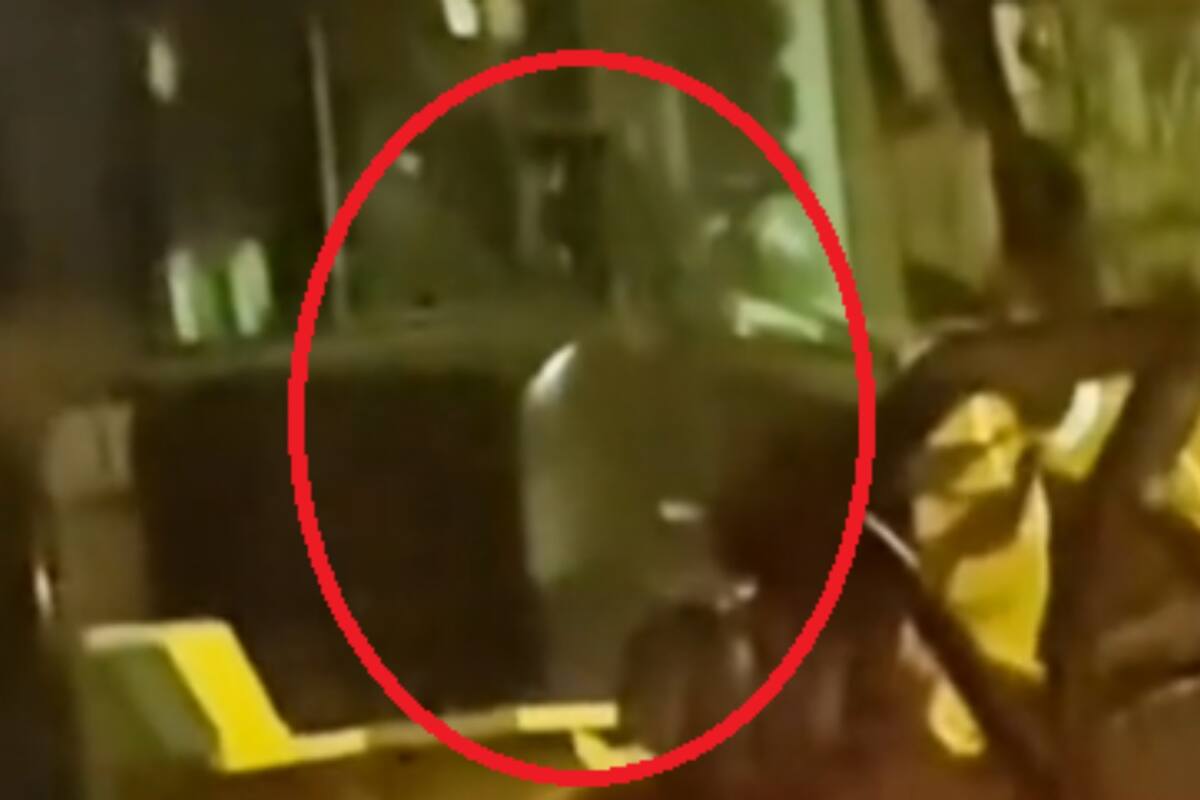 TikTok: Familia capta a supuestos aliens en el patio de su hogar en Las Vegas