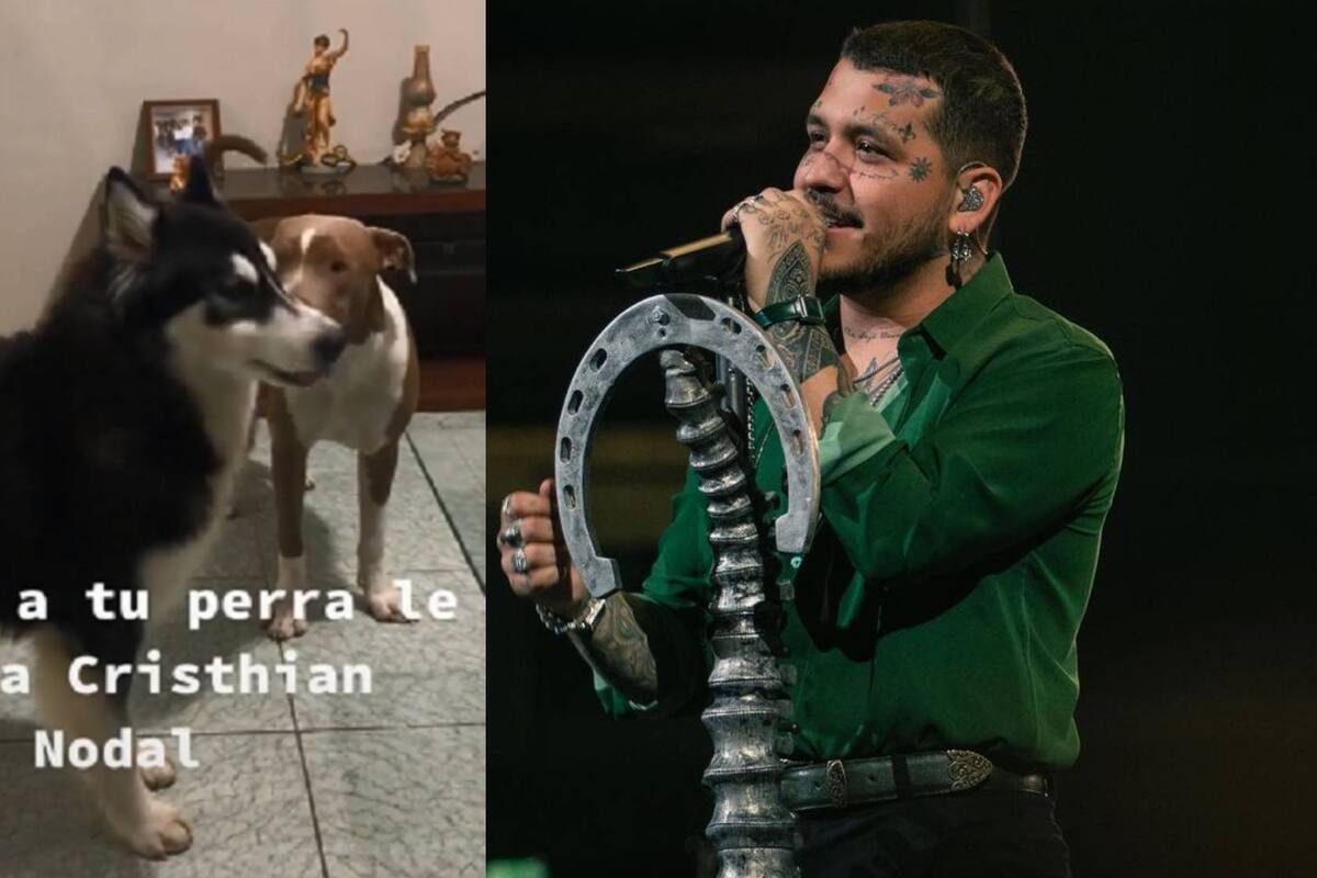 Perrita es fan de Christian Nodal y se hace viral por cantar sus canciones