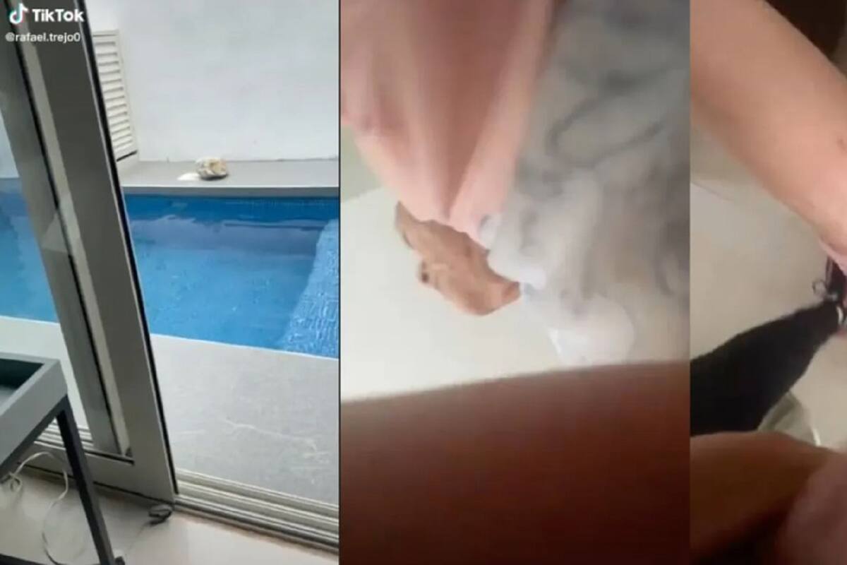 "Déjenme, ya me morí": Abuelita se hace viral al no querer salir de su casa en medio del sismo