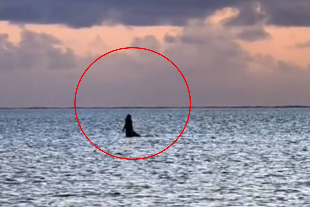 VIDEO: Captan a una misteriosa mujer caminando en las profundidades del mar