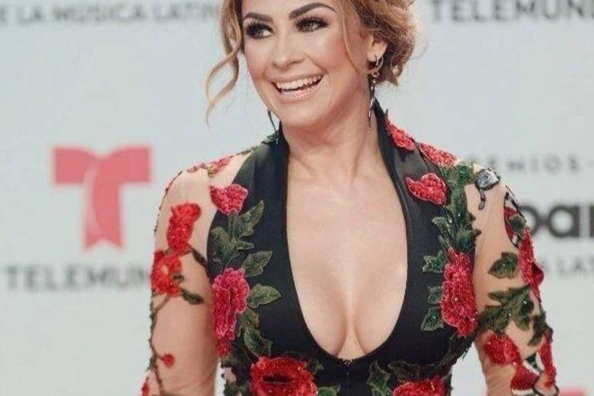 Aracely Arámbula pide a Luis Miguel hacerse cargo de sus hijos, no solo los de Paloma Cuevas