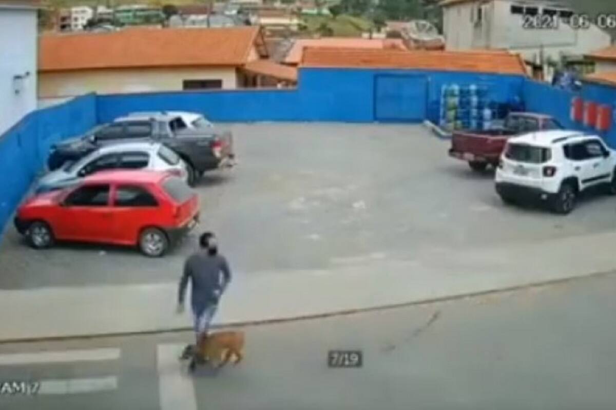 VIDEO VIRAL: Perrito atropella a hombre que intentaba cruzar la calle