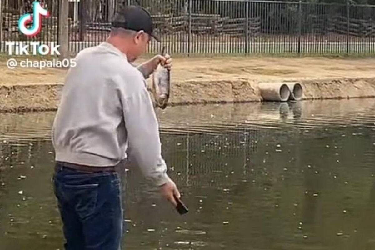 Señor se confunde y tira su celular al agua tras tomarse una foto con un pescado
