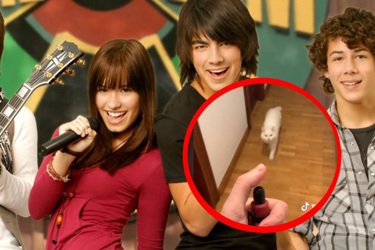 Gatito se vuelve viral por ser fan de "Camp Rock"