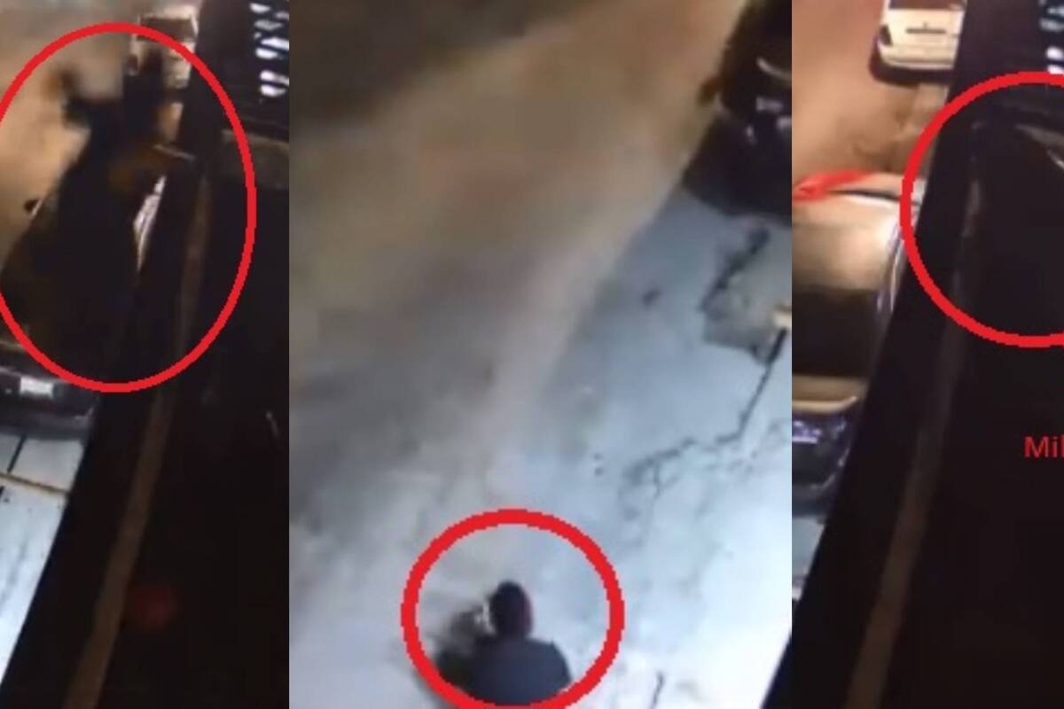 "Milanesos" acorralan a ladrón y lo avientan desde la azotea: VIDEO