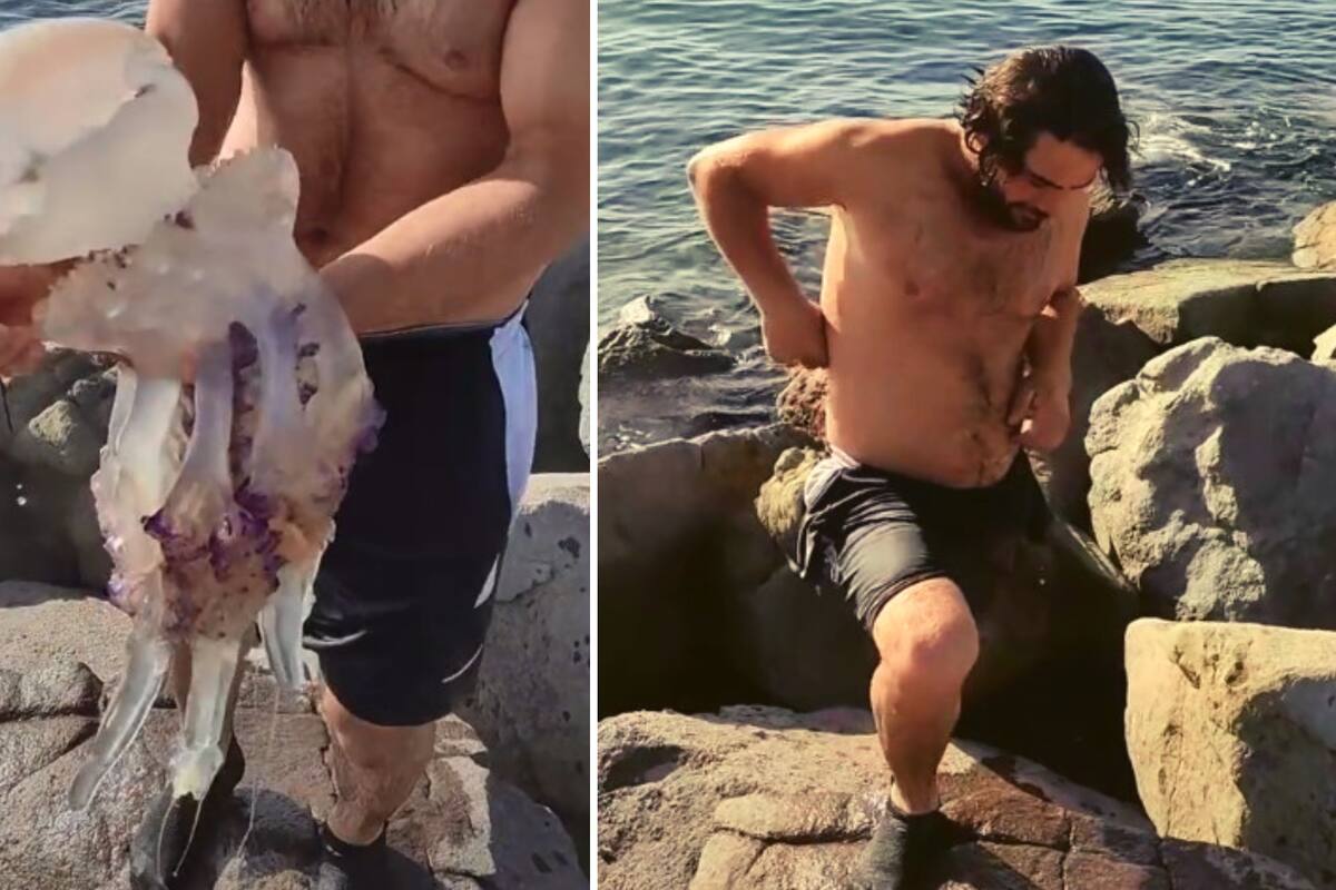 VIDEO VIRAL: Carga una medusa sin saber que es un animal venenoso y esta fue su reacción