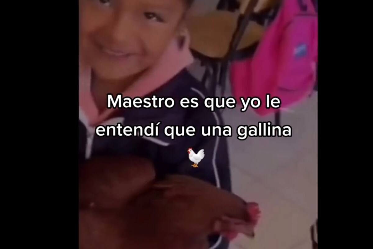 TikTok: Niña confunde su tarea y lleva una gallina a su escuela por error