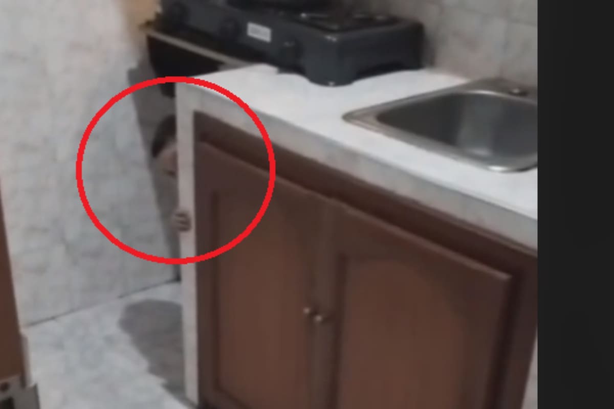 TikTok: Hombre capta el aterrador fantasma de un niño en su hogar