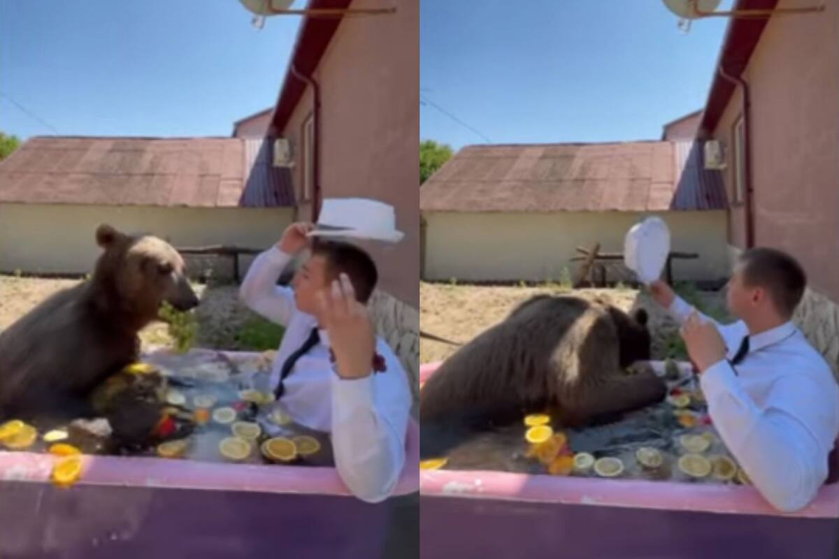 Hombre comparte baño relajante con un oso